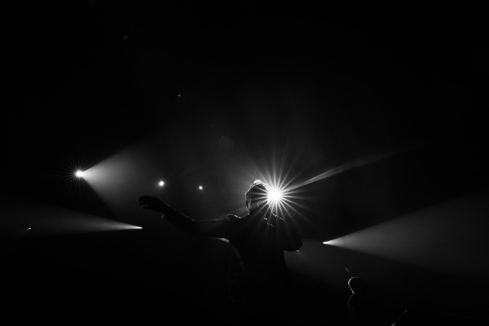 Washington Dead Cats – énergie brute